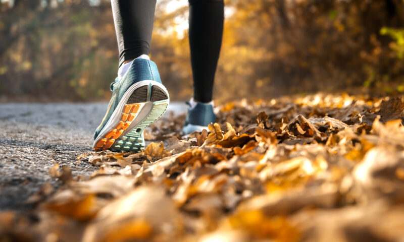 laufen im herbst